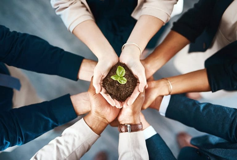 stacked-hands-holding-seedling